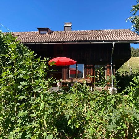 Berghuetterl - Ferienhaus Ingerlhof 泰根塞 外观 照片