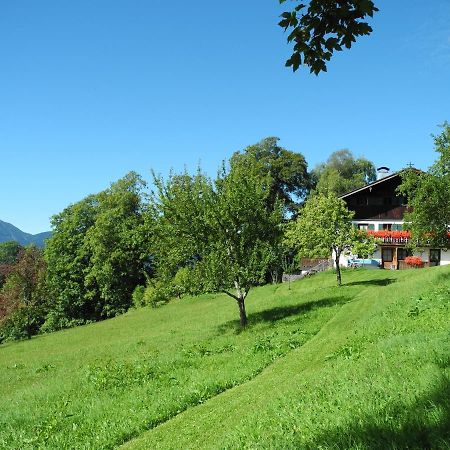 Berghuetterl - Ferienhaus Ingerlhof 泰根塞 外观 照片